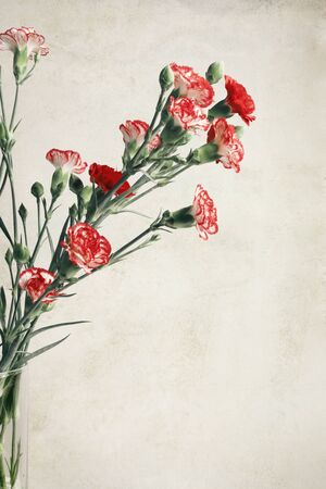 Bouquet of little red carnations in glass vase, close-upの写真素材