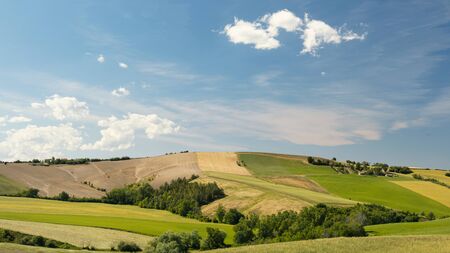 Beautiful rural landscape in spring, view of cultivated landの写真素材