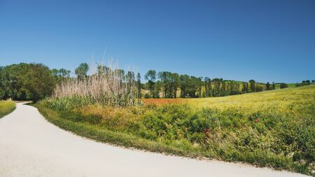 Beautiful rural landscape in spring, view from country roadの写真素材