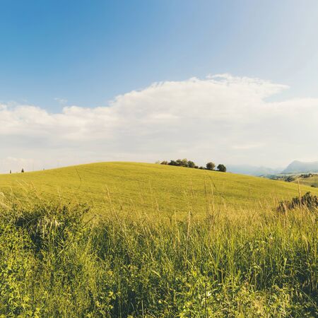 Beautiful landscape of countryside on spring, fields and sky