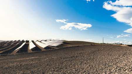 Clean energy, field with photovoltaic panels, scenic view at sunset
