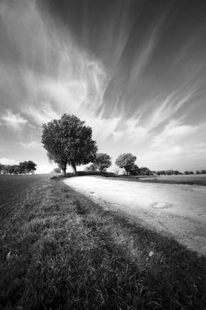 Panoramic view of country road, dramatic skyの写真素材