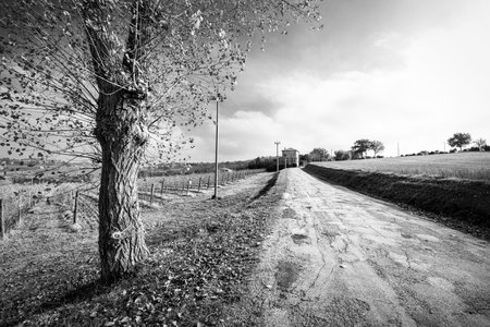 landscape, view of country road, dramatic skyの写真素材