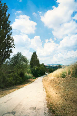 Trip to the countryside, dirt road viewの写真素材