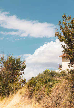 Countryside landscape in summer day, grass and treesの写真素材