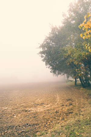 Morning in foggy day, countryside landscapeの写真素材