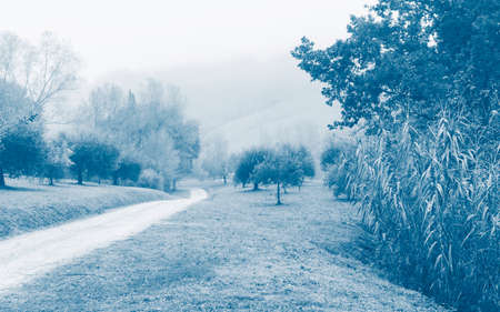 Morning in foggy day, countryside landscapeの写真素材