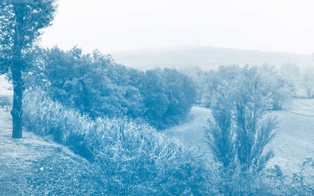Morning in foggy day, countryside landscapeの写真素材