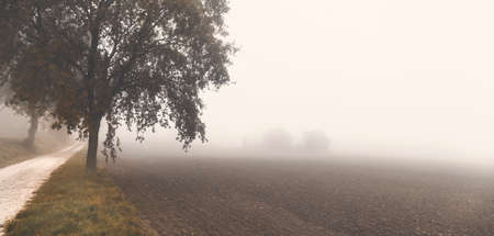 Morning in foggy day, countryside landscapeの写真素材