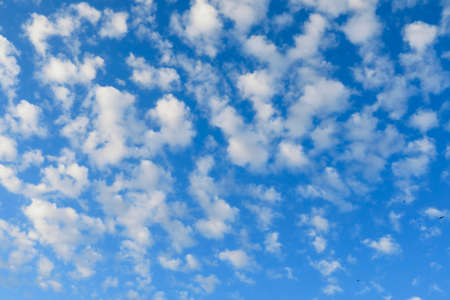 Morning clouds in the blue sky, natural backgroundの写真素材