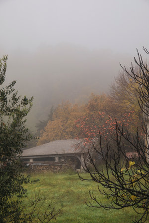 Autumn day with farm in the woodsの写真素材