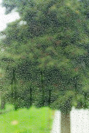 Water drops in the window glass, green backgroundの写真素材
