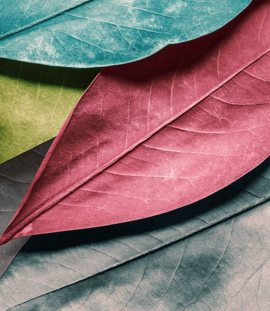 Autumn colors of leaves, natural patternの写真素材