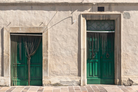Uninhabited house with two green doors, detail of the facadeの写真素材