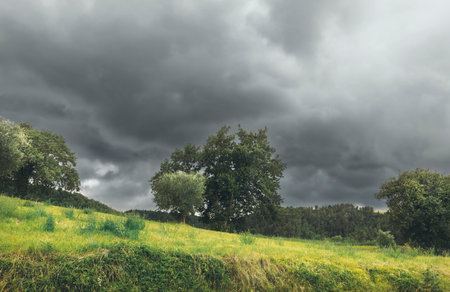 Beautiful landscape before the storm, lush foliage and green fieldsの写真素材