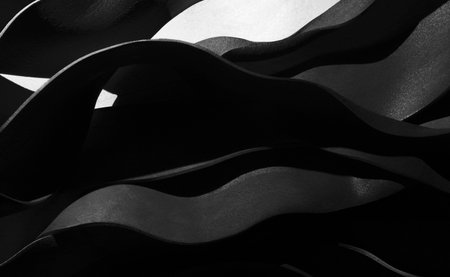 Black and white abstract wavy background. 3d illustrationの写真素材