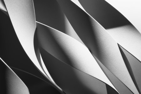 Abstract, wavy shapes in black and white, 3d illustration