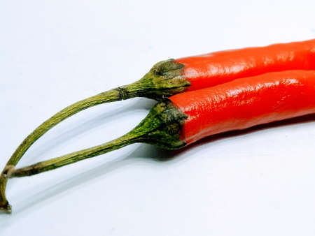 Spices red chili isolated on white backgroundの写真素材