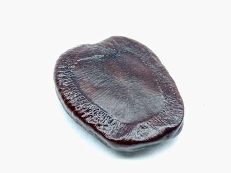 A picture of tamarind seed isolated on white background