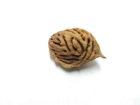 A picture of peach seed on white background