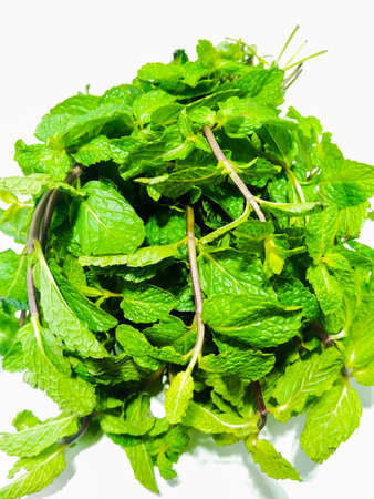 A picture of mint leafs