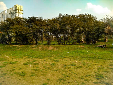 A picture of garden