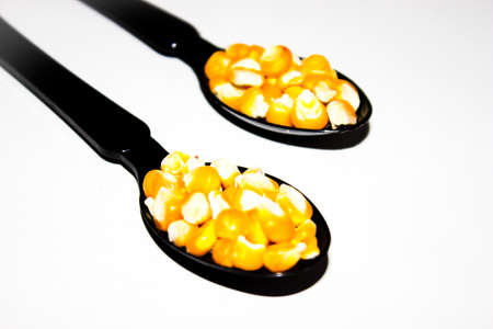 A picture of corn seedsの写真素材