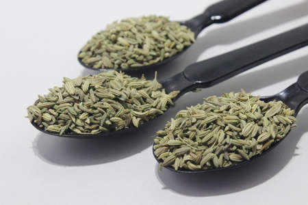 A picture of fennel seedsの写真素材