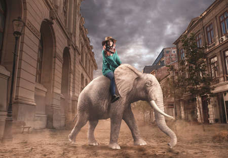 Beautiful woman rides elephant in the city.の写真素材