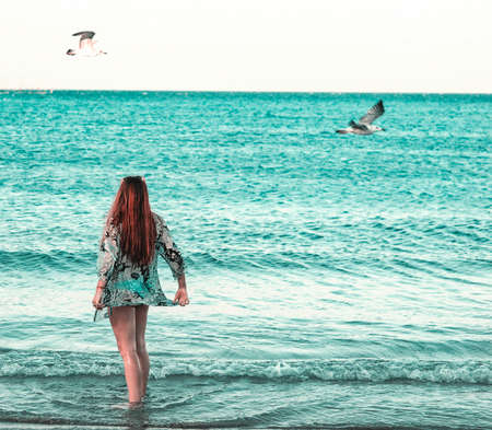 Young girl in the sea watching seagulls flying.

の写真素材