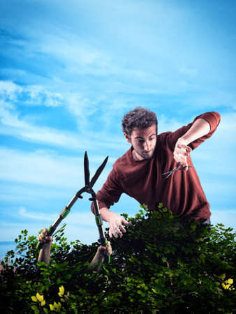 Man trim a bush with scissors and a trimmer bush gets out . Concept of protecting natureの写真素材