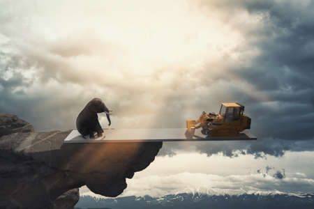Elehpant on balance with a bulldozer above the jungle . Global warming concept . Realise effects of...