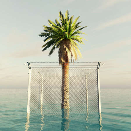 Palm tree locked by a metal fence in the ocean . Holiday restriction concept . This is a 3d render illustration .の写真素材