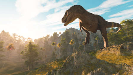 T rex in the jungle at sunset . This is a 3d render illustration .の写真素材