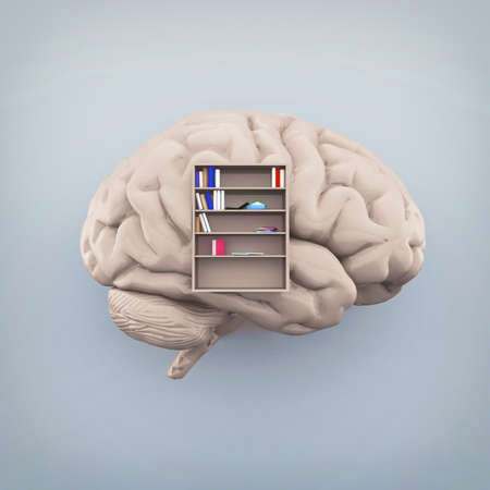 Human brain with a library inside and books. Knowledge and self development concept . This is a 3d...