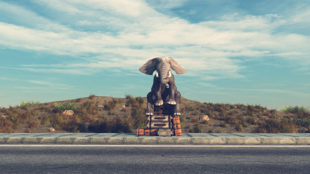 Elephant sits on luggage at highway . Hitchhiker and travel concept . This is a 3d render illustration .の写真素材
