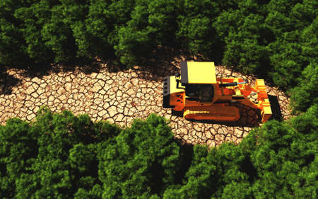 Bulldozer path on dry land in a forest . Deforestation and environment destruction concept . This is...