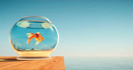 Golden fish in a bowl near the ocean . Comfort zone and think different concept . This is a 3d render illustration .の写真素材