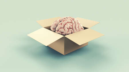 Human brain inside a box . Think outside the box and self development concept . This is a 3d render illustration .の写真素材