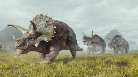 Group of triceratops walks in the valley . This is a 3d render illustration .の写真素材
