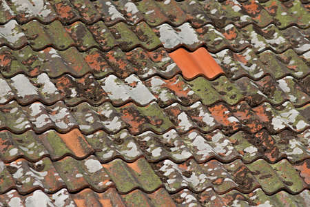 Roof tiles