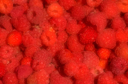 Raspberry and Wild strawberry.