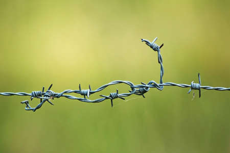 barbed wireの写真素材