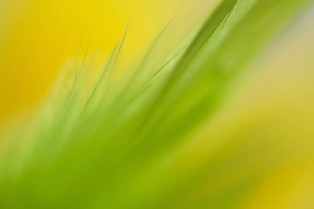 Mottled background colors