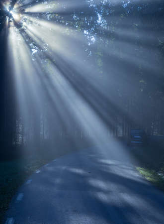 Road with sun rays in backlight.