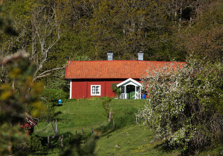 HOLO SWEDN May 27, 2015. Small red cottage in idyllic settingのeditorial素材