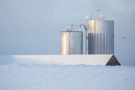 YTTERJARNA SWEDEN 5 January 2017. grain storage in Sweden.のeditorial素材
