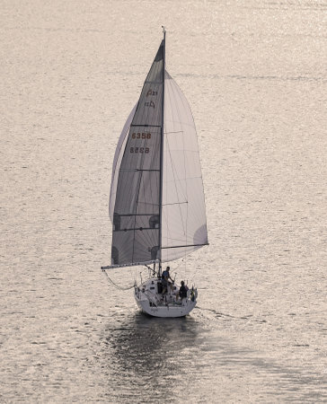 STOCKHOLM SWEDEN 26 July 2017.  Sailboat sailing in Stockholm archipelago.のeditorial素材