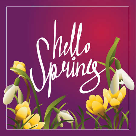 Hello Spring Word Hanging on with snowdrops and grass. Illustration with calligraphyのイラスト素材