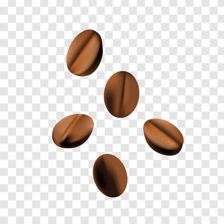 coffee beans realism style vector illustrationのイラスト素材